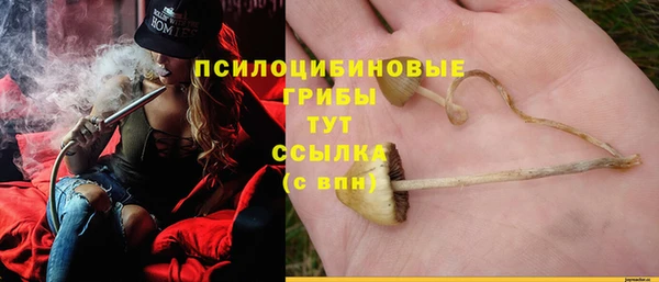 apvp Абаза
