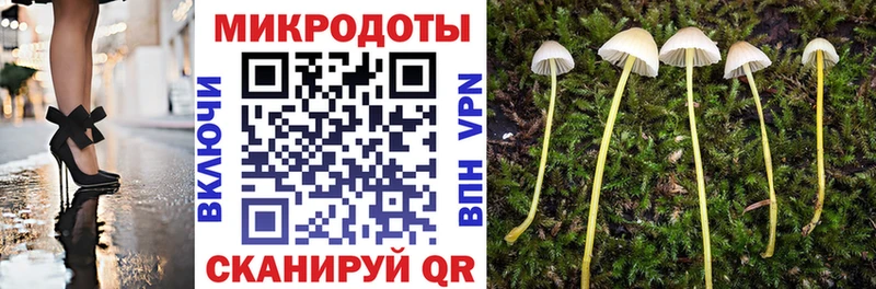 где найти наркотики  Томилино  Галлюциногенные грибы GOLDEN TEACHER 
